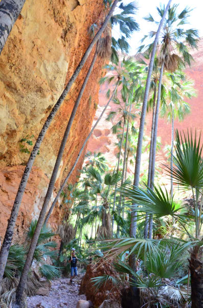 Вся Австралия с островами Фрейзер и Тасмания: 26 тыс км на авто (много фото)