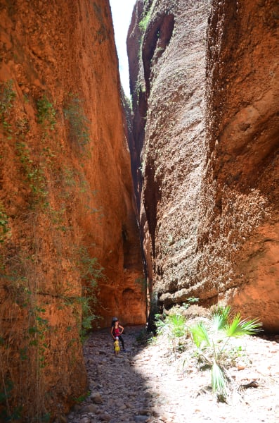 Вся Австралия с островами Фрейзер и Тасмания: 26 тыс км на авто (много фото)
