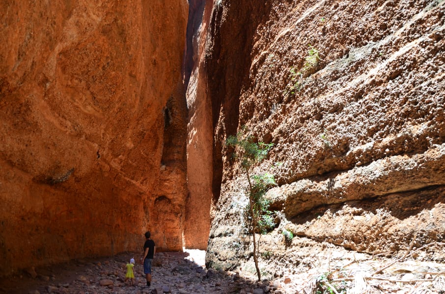Вся Австралия с островами Фрейзер и Тасмания: 26 тыс км на авто (много фото)