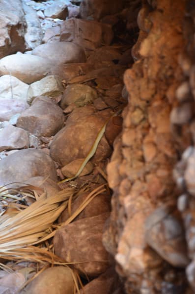 Вся Австралия с островами Фрейзер и Тасмания: 26 тыс км на авто (много фото)