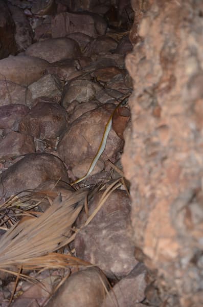 Вся Австралия с островами Фрейзер и Тасмания: 26 тыс км на авто (много фото)