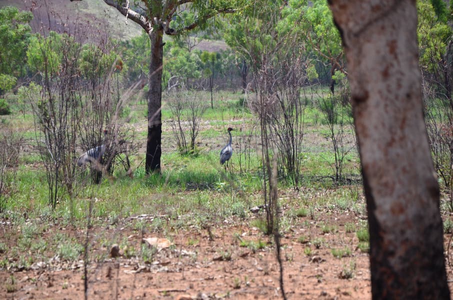 Вся Австралия с островами Фрейзер и Тасмания: 26 тыс км на авто (много фото)