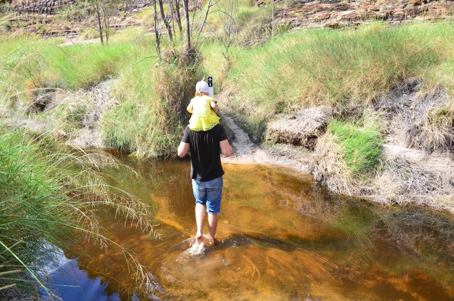 Вся Австралия с островами Фрейзер и Тасмания: 26 тыс км на авто (много фото)