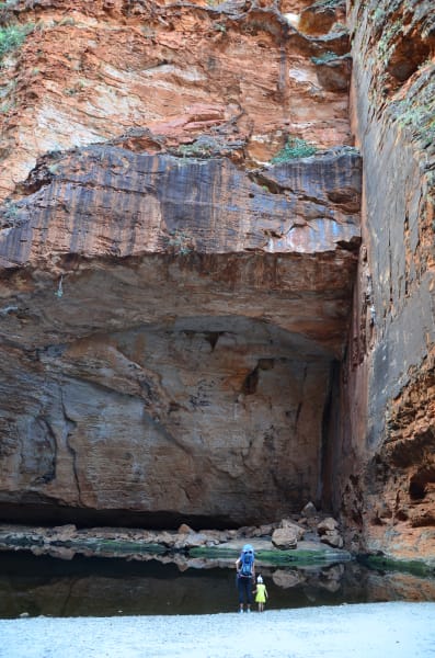Вся Австралия с островами Фрейзер и Тасмания: 26 тыс км на авто (много фото)