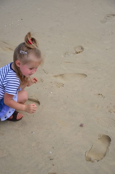 Вся Австралия с островами Фрейзер и Тасмания: 26 тыс км на авто (много фото)