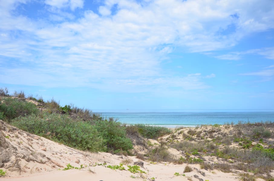 Вся Австралия с островами Фрейзер и Тасмания: 26 тыс км на авто (много фото)