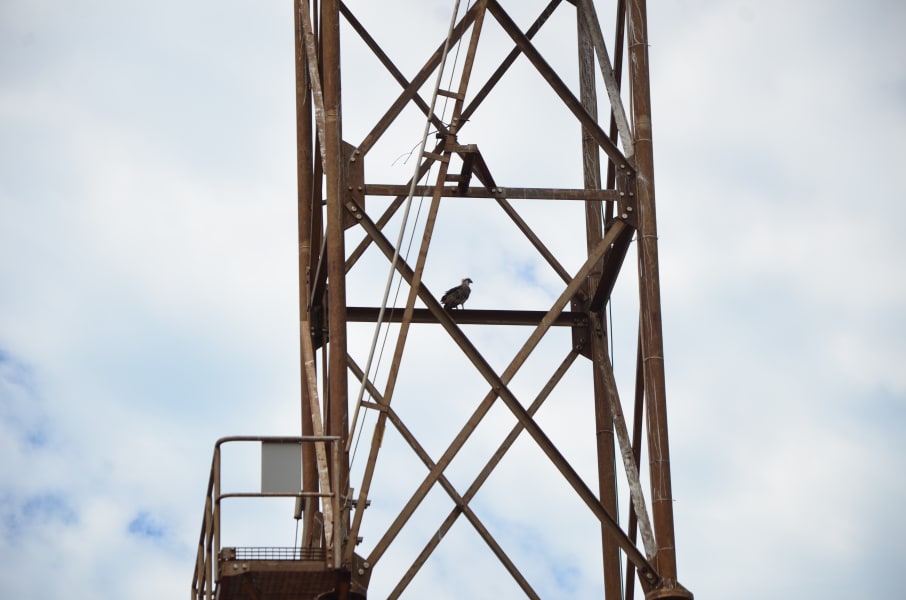 Вся Австралия с островами Фрейзер и Тасмания: 26 тыс км на авто (много фото)