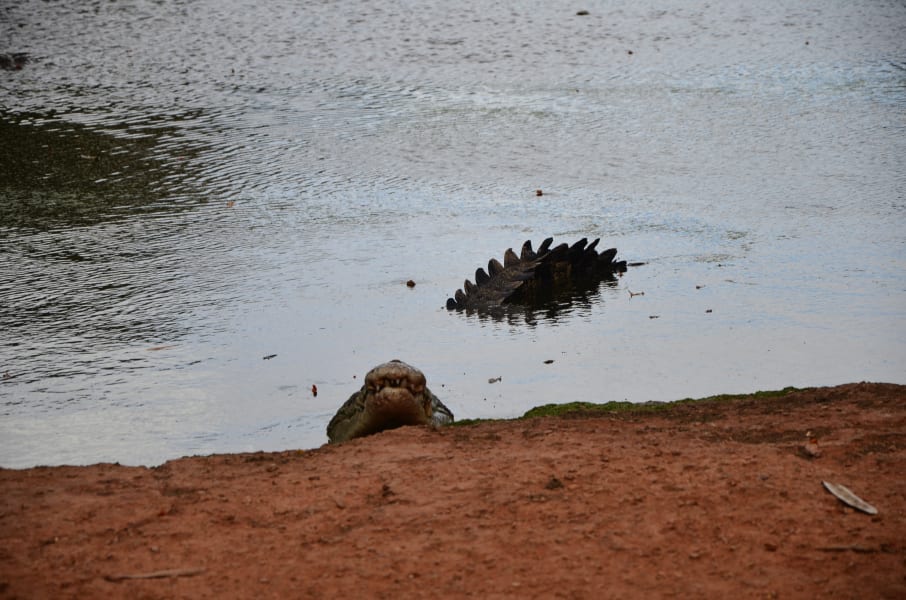 Вся Австралия с островами Фрейзер и Тасмания: 26 тыс км на авто (много фото)