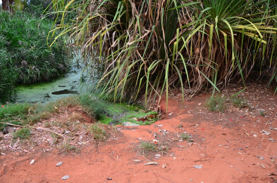Вся Австралия с островами Фрейзер и Тасмания: 26 тыс км на авто (много фото)
