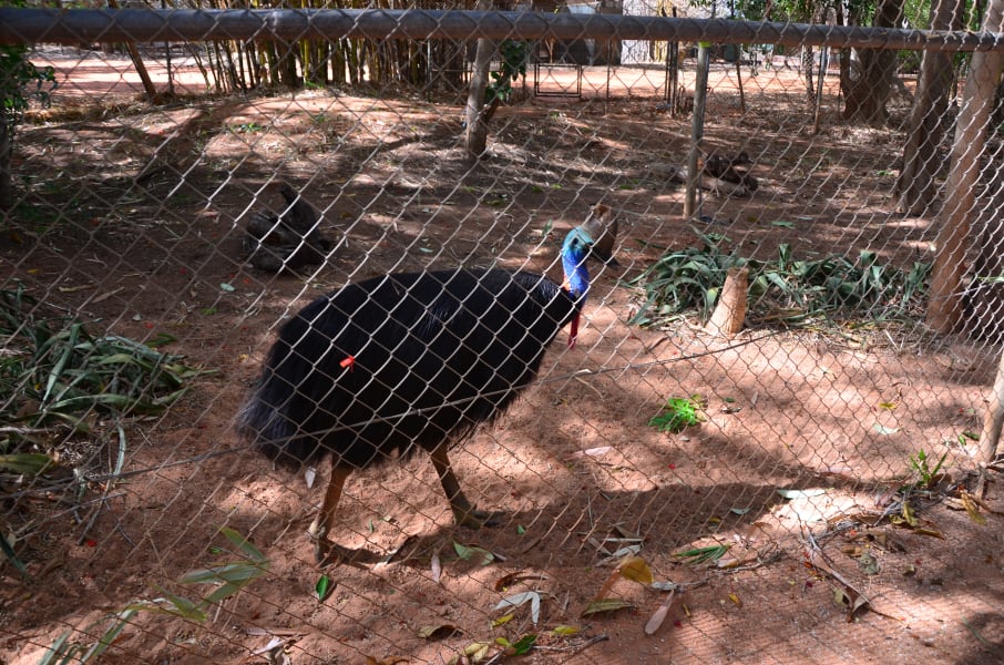 Вся Австралия с островами Фрейзер и Тасмания: 26 тыс км на авто (много фото)