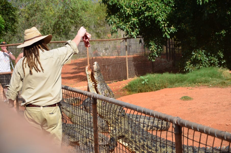 Вся Австралия с островами Фрейзер и Тасмания: 26 тыс км на авто (много фото)