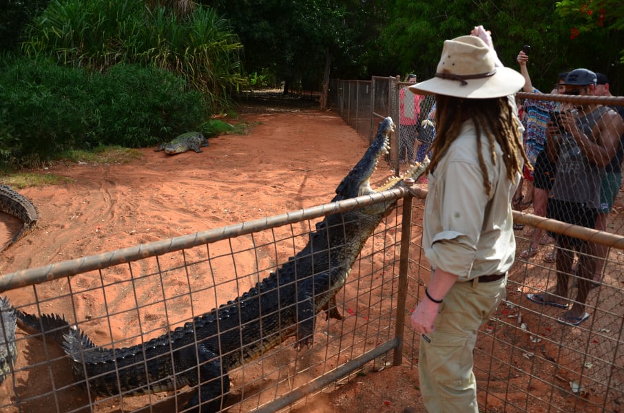 Вся Австралия с островами Фрейзер и Тасмания: 26 тыс км на авто (много фото)