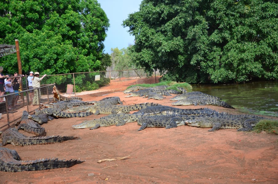 Вся Австралия с островами Фрейзер и Тасмания: 26 тыс км на авто (много фото)
