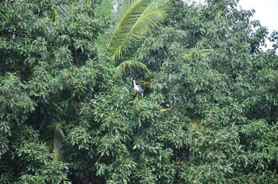 Вся Австралия с островами Фрейзер и Тасмания: 26 тыс км на авто (много фото)