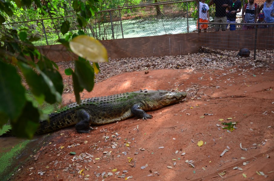 Вся Австралия с островами Фрейзер и Тасмания: 26 тыс км на авто (много фото)