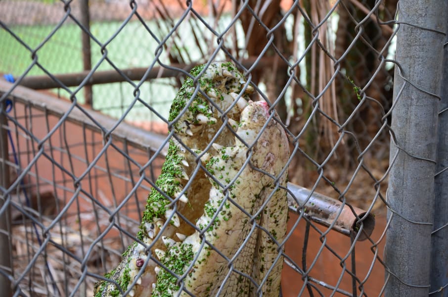 Вся Австралия с островами Фрейзер и Тасмания: 26 тыс км на авто (много фото)