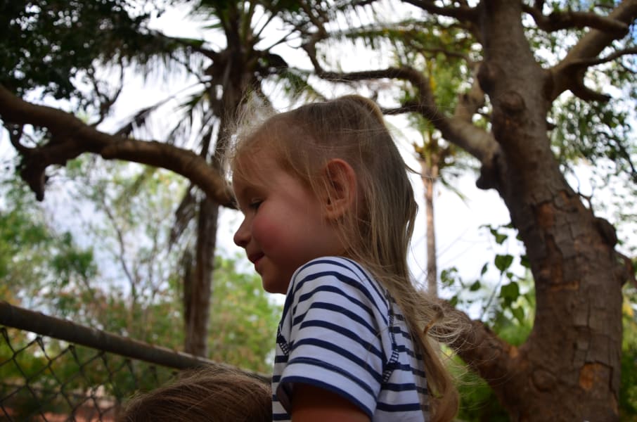 Вся Австралия с островами Фрейзер и Тасмания: 26 тыс км на авто (много фото)