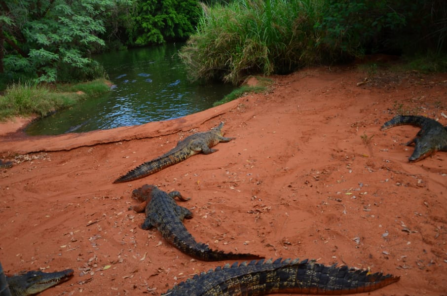 Вся Австралия с островами Фрейзер и Тасмания: 26 тыс км на авто (много фото)