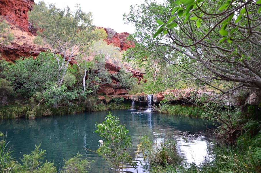 Вся Австралия с островами Фрейзер и Тасмания: 26 тыс км на авто (много фото)