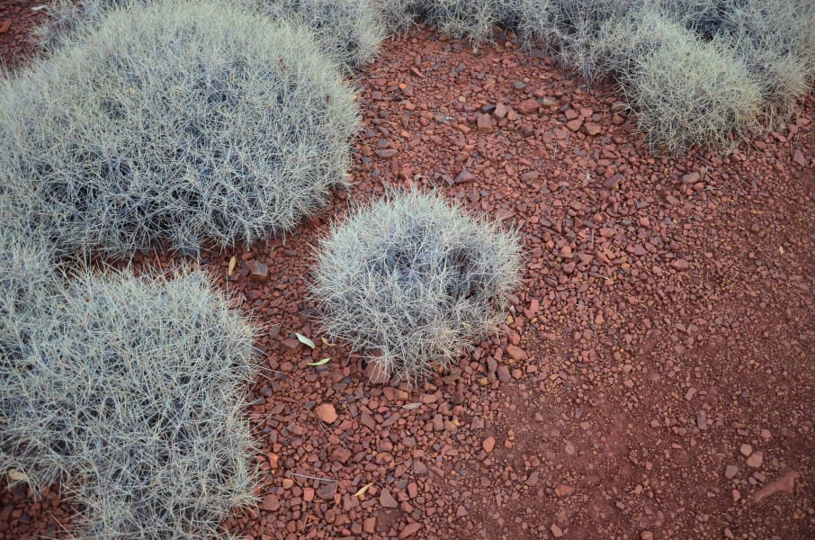 Вся Австралия с островами Фрейзер и Тасмания: 26 тыс км на авто (много фото)