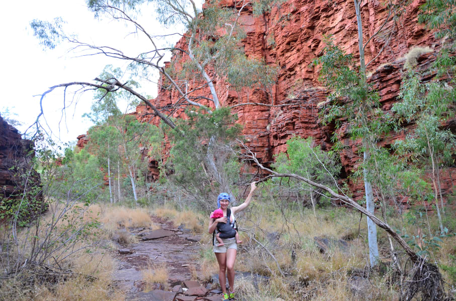 Вся Австралия с островами Фрейзер и Тасмания: 26 тыс км на авто (много фото)