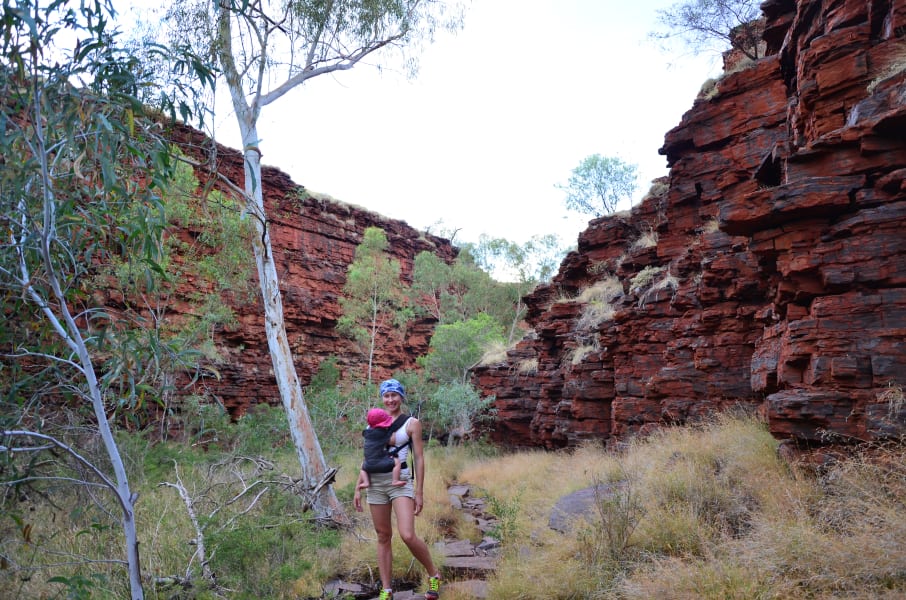 Вся Австралия с островами Фрейзер и Тасмания: 26 тыс км на авто (много фото)