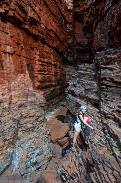 Вся Австралия с островами Фрейзер и Тасмания: 26 тыс км на авто (много фото)