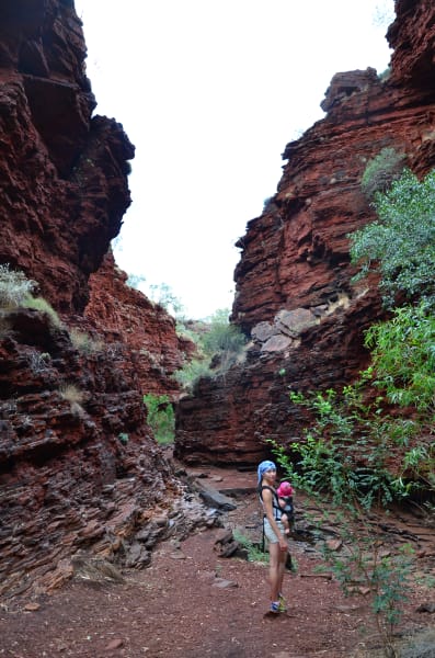 Вся Австралия с островами Фрейзер и Тасмания: 26 тыс км на авто (много фото)