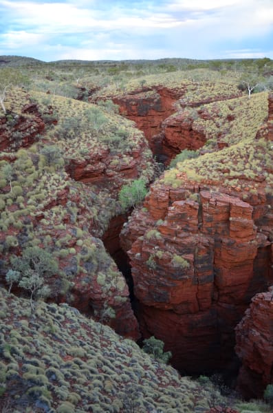 Вся Австралия с островами Фрейзер и Тасмания: 26 тыс км на авто (много фото)