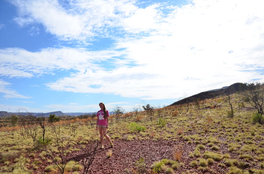 Вся Австралия с островами Фрейзер и Тасмания: 26 тыс км на авто (много фото)