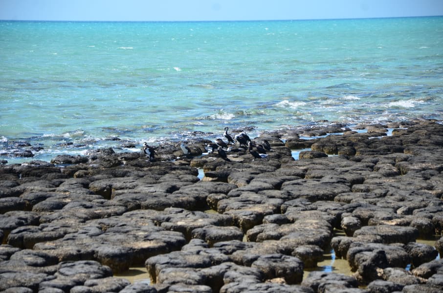 Вся Австралия с островами Фрейзер и Тасмания: 26 тыс км на авто (много фото)