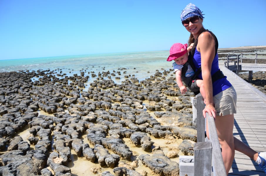Вся Австралия с островами Фрейзер и Тасмания: 26 тыс км на авто (много фото)