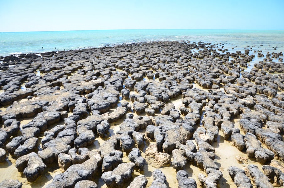 Вся Австралия с островами Фрейзер и Тасмания: 26 тыс км на авто (много фото)