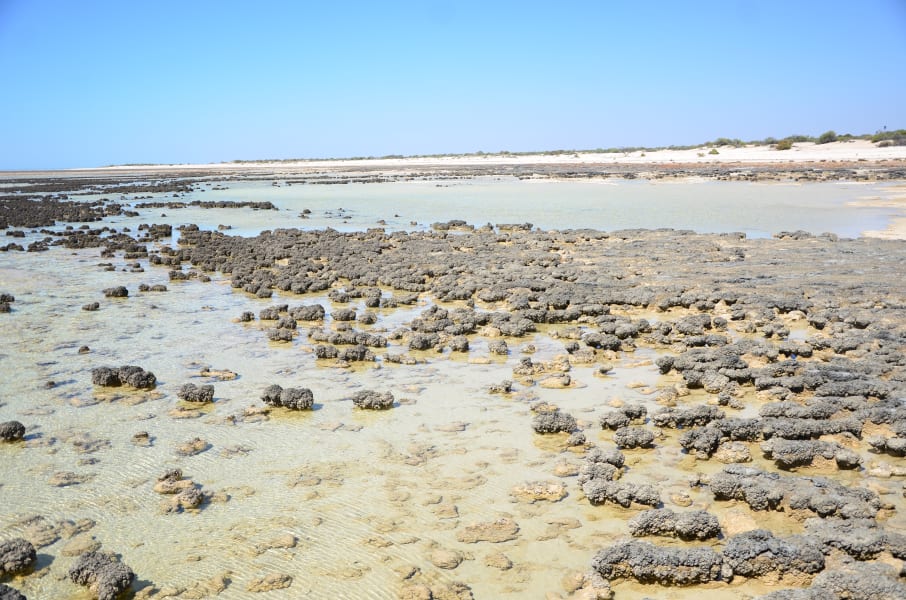 Вся Австралия с островами Фрейзер и Тасмания: 26 тыс км на авто (много фото)