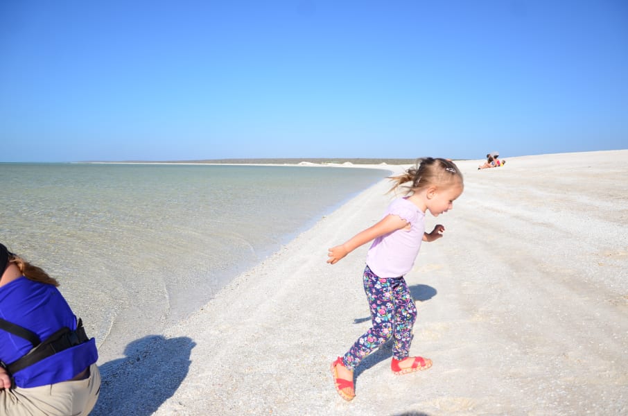 Вся Австралия с островами Фрейзер и Тасмания: 26 тыс км на авто (много фото)