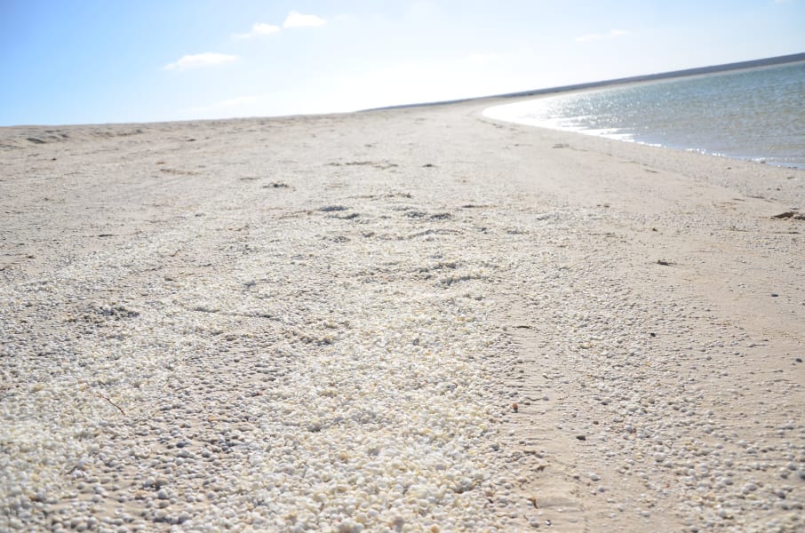 Вся Австралия с островами Фрейзер и Тасмания: 26 тыс км на авто (много фото)