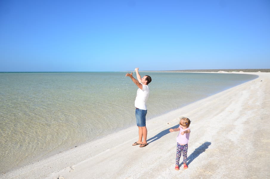 Вся Австралия с островами Фрейзер и Тасмания: 26 тыс км на авто (много фото)