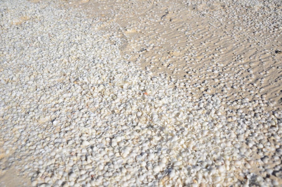 Вся Австралия с островами Фрейзер и Тасмания: 26 тыс км на авто (много фото)