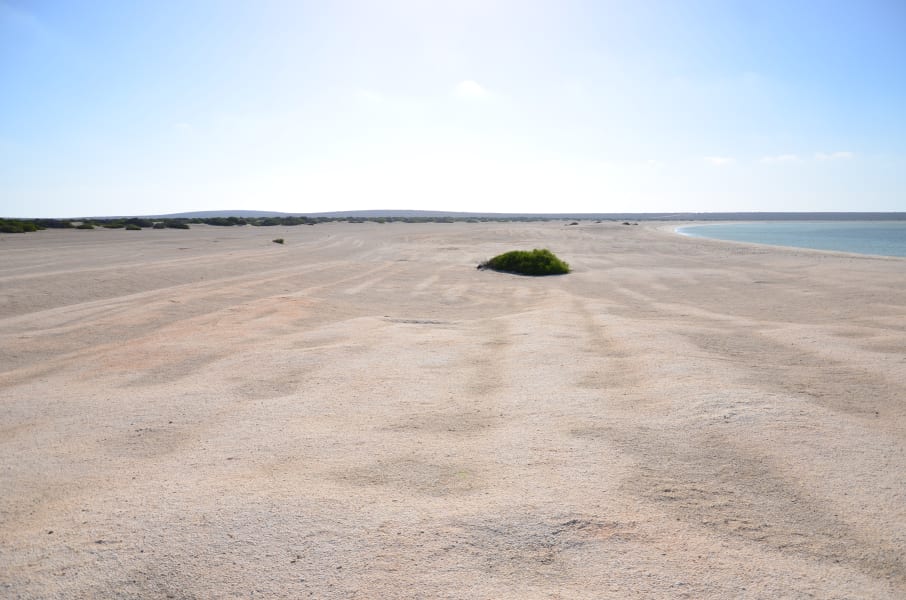 Вся Австралия с островами Фрейзер и Тасмания: 26 тыс км на авто (много фото)