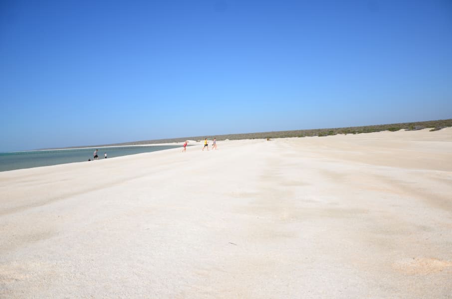 Вся Австралия с островами Фрейзер и Тасмания: 26 тыс км на авто (много фото)