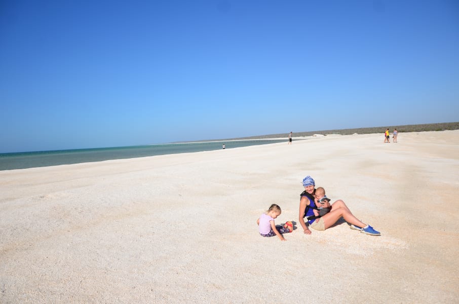 Вся Австралия с островами Фрейзер и Тасмания: 26 тыс км на авто (много фото)