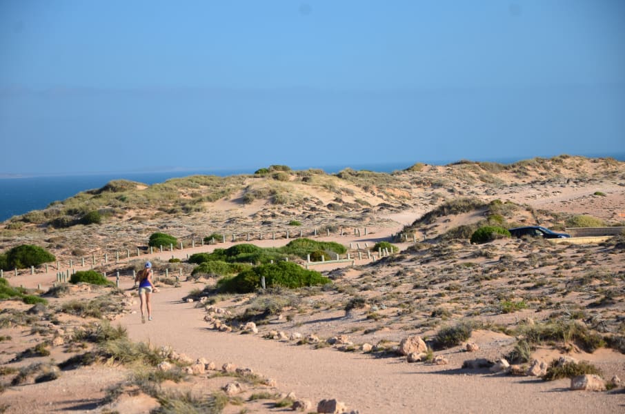 Вся Австралия с островами Фрейзер и Тасмания: 26 тыс км на авто (много фото)
