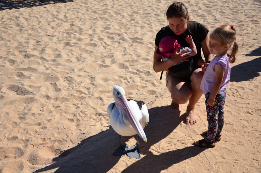 Вся Австралия с островами Фрейзер и Тасмания: 26 тыс км на авто (много фото)