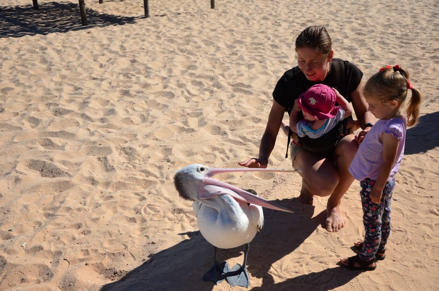 Вся Австралия с островами Фрейзер и Тасмания: 26 тыс км на авто (много фото)