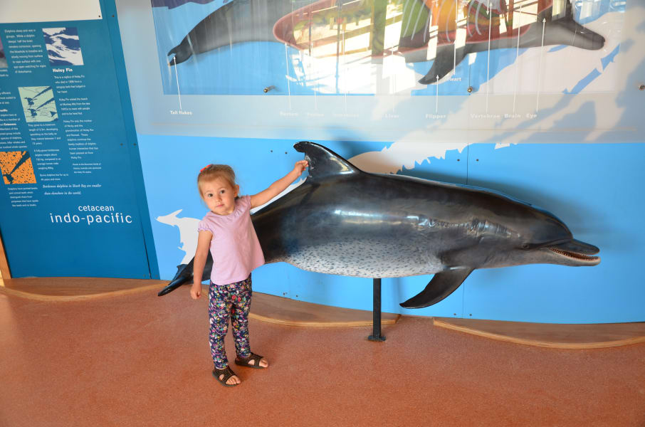 Вся Австралия с островами Фрейзер и Тасмания: 26 тыс км на авто (много фото)