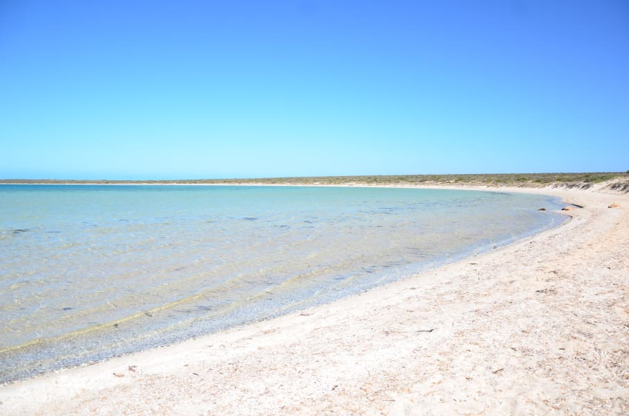 Вся Австралия с островами Фрейзер и Тасмания: 26 тыс км на авто (много фото)