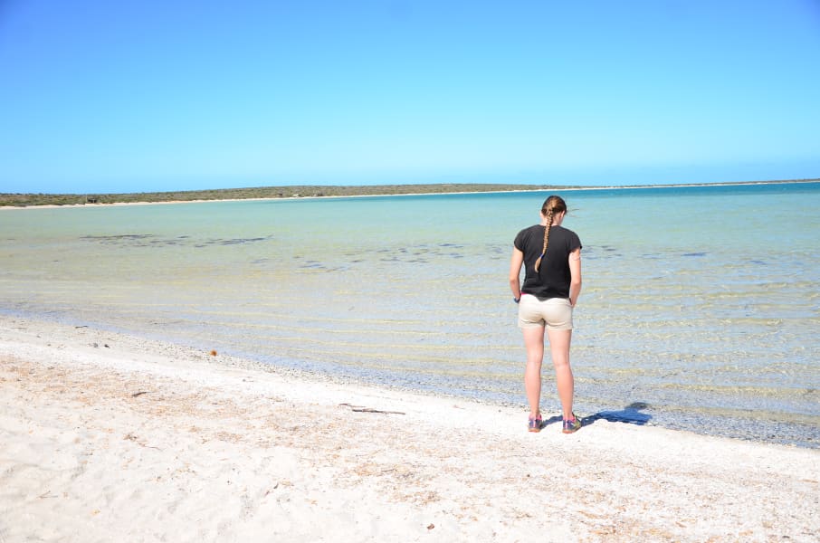 Вся Австралия с островами Фрейзер и Тасмания: 26 тыс км на авто (много фото)