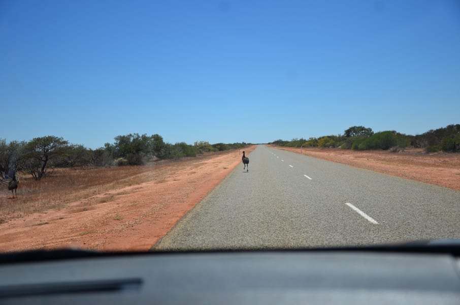 Вся Австралия с островами Фрейзер и Тасмания: 26 тыс км на авто (много фото)