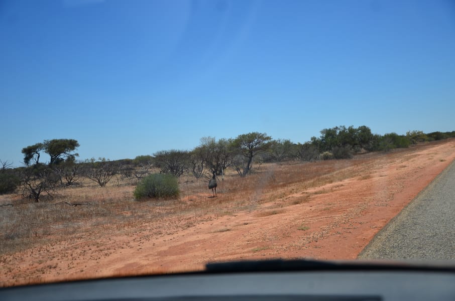 Вся Австралия с островами Фрейзер и Тасмания: 26 тыс км на авто (много фото)
