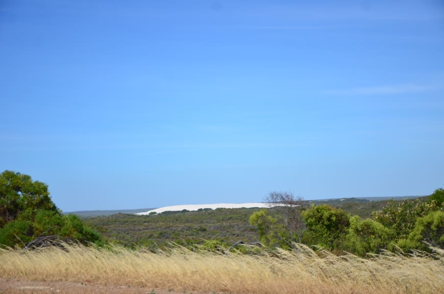 Вся Австралия с островами Фрейзер и Тасмания: 26 тыс км на авто (много фото)